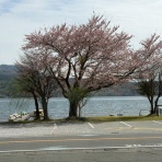エンゼル不動産山中湖店　リゾート日記