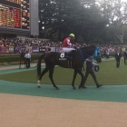 『有馬記念2024　予想見解』の画像