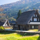 2025.11.10  一枚の彩時季