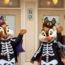 香港ディズニー　パーク入園編　パークの朝はゆったりです