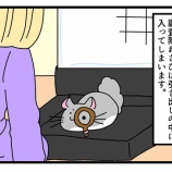 『引き出しのさらに奥へ消えたわさび』の画像