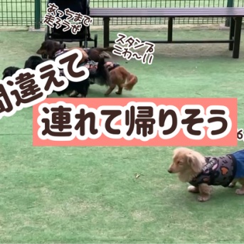 完全に混ざる。