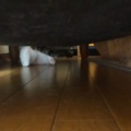 逃げる 逃げる…