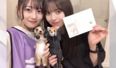 【乃木坂46】齋藤飛鳥との人形劇は向井葉月のインスタリールで全編公開予定だとよ！