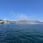 ワンちゃん☆ママン奮闘記