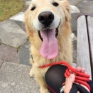 今日は７匹のお世話です