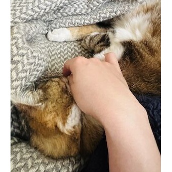 【アラフィフのリアルな日】泣いた朝と、牛すじのライスヌードル