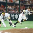 『プロ野球・ソフトバンク』について