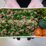 『2024/2/28のパートナーの相棒のボリューミーお弁当 【#お弁当】【2012個目】』の画像