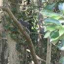 つづきの散歩道・・・