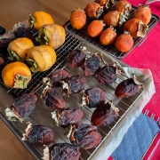 枝付に娘さんの想い