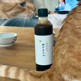掲載誌色々／と、苦み少なめで旨っ！子どもも食べられる【旨塩ゴーヤチャンプルー】