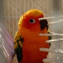 初めての日向ぼっこ