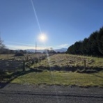 tachibana toshihisa ファルコン（FalconSki Racing Team)