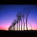 空の色は“湿度”で決まる!美しい空を撮るなら“マジックアワー” 早朝や夕暮れ時が特に美しい『夏井のハザ木』新潟市西蒲区