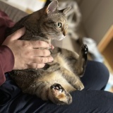 告知と雑談日記♡