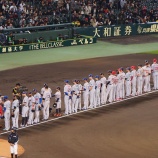 『洒落にならない。｜2014MLB』の画像