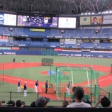 『社内イベント第一弾　■プロ野球観戦■』の画像
