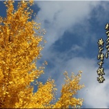 『ポツンと一軒家放送300回記念年末特番』の画像