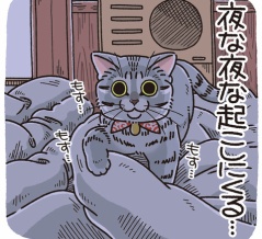 ナイトキャップ