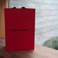 ＦＥＲＲＡＧＡＭＯの新生"ＶＡＲＡ"がかわいくて…♡