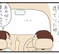 蜘蛛の糸