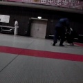のん@柔術クラブZ/3月28日/光市練習/ブラジリアン柔術/山口県柔術/bjj/山口県格闘技