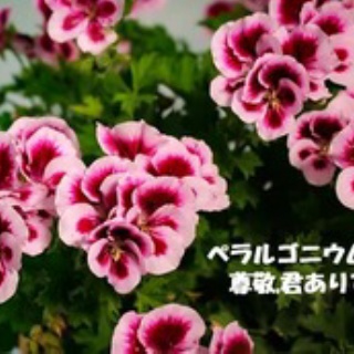 田舎記者の手帳