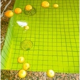 『ゆず風呂を満喫しました♨️//薔薇の樹苑デイサービス』の画像