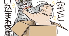 喜ぶと思ったのに