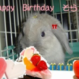 『そらBirthday／（≡・　x　・≡）＼～満３歳☆』の画像