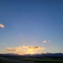 自民党議員みたいな、シカクカメムシをやっつけろ!!w