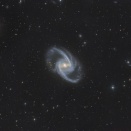 TSConリコリモ　ろ座　NGC1365