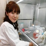 米ハーバード大「STAP細胞はありませ～ん！」133回の再現実験で全て失敗
