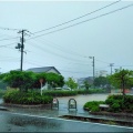 昨日の早朝、本日午後…と、恵みの雨でしたけど、短時間で上がり残念(^-^;