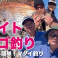 須磨でライトカゴ釣り！誰でも簡単マダイ釣り！