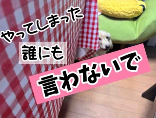 やってしまった女帝。