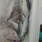 釣り筏　清福丸