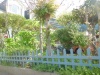 CIMG0418