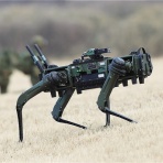 日常と非日常な日々