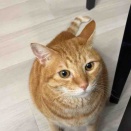 レオくん闘病生活