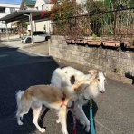 .•*.•*beny beny*•.*•.