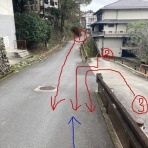 水面日和