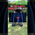 やる。