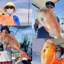 8月8日の釣果報告🐟🐟🐟🐟🐟