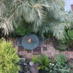 Alex's Garden Party♪
