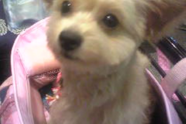 あいりんごのヒトリゴト