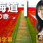 星乃映像社 | @hoshinofilms