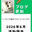 2026年6月の活動報告