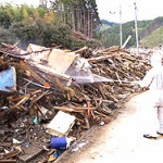 地震の前触れか？　千葉房総で謎の虫が大発生！